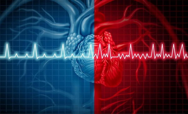 ضربان قلب از چند به بالا خطرناک است؟