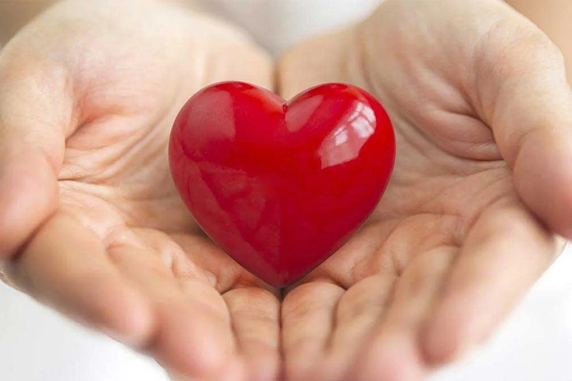 ضربان قلب پایین خطرناک چند است